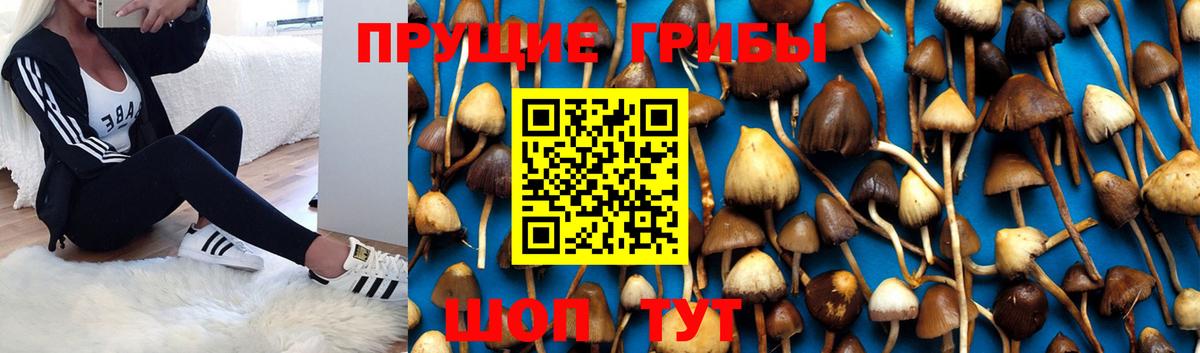 ТГК Полевской
